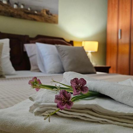 Lalovina Apartment تْشيرسيك نوفي المظهر الخارجي الصورة
