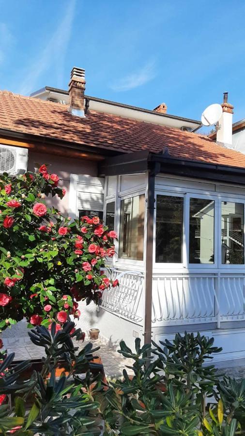 Lalovina Apartment تْشيرسيك نوفي المظهر الخارجي الصورة
