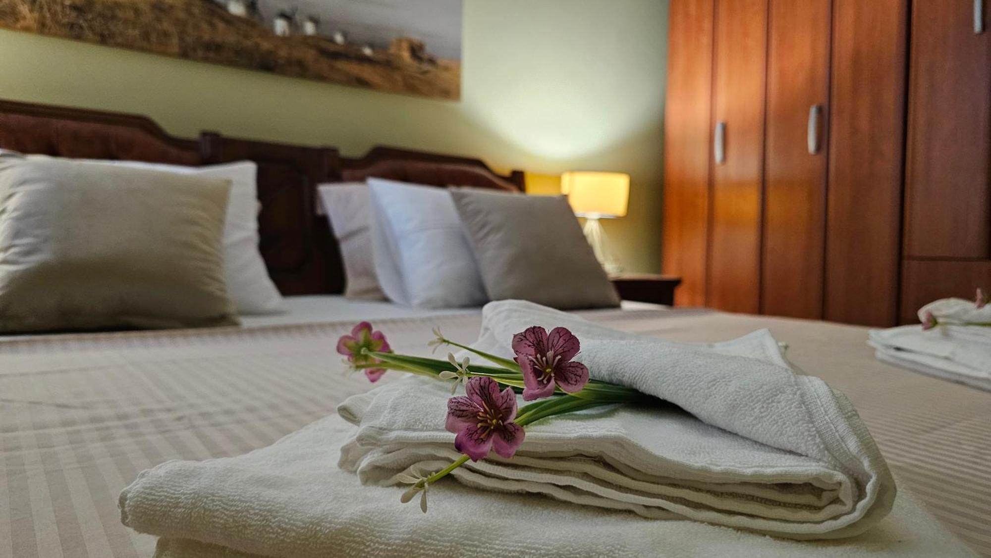 Lalovina Apartment تْشيرسيك نوفي المظهر الخارجي الصورة